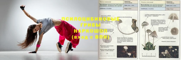 ПСИЛОЦИБИНОВЫЕ ГРИБЫ Алексин