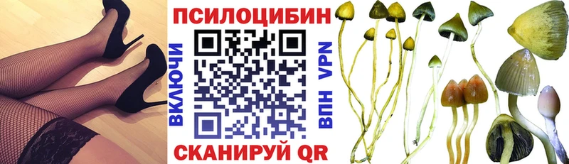 Галлюциногенные грибы MAGIC MUSHROOMS где купить наркоту Судогда